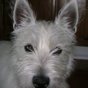 Meet your Posher, Coleen